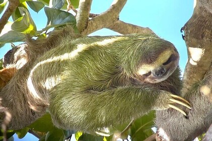 Costa Rica Manuel Antonio Naturaleza Aventura