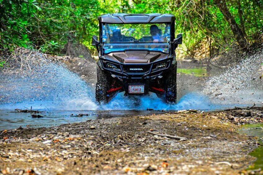 Side by side in Guanacaste