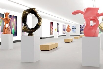 Municipal Museum of Modern Art of Mendoza Private Tour