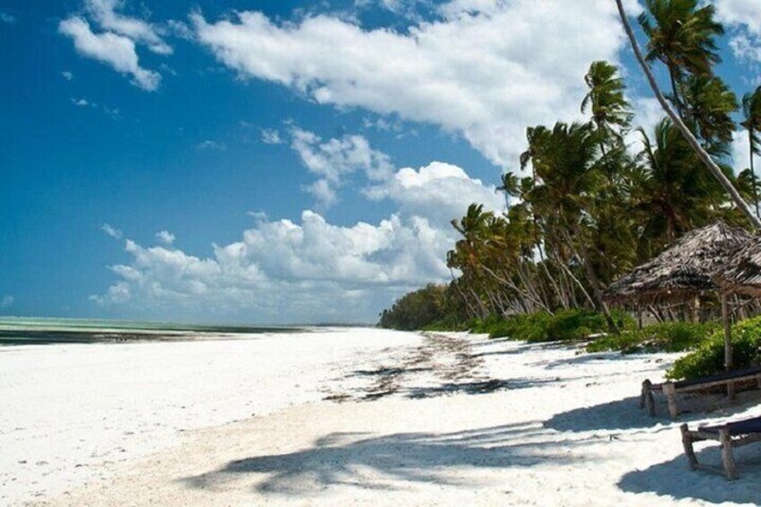 Prison Island Snorkeling Trip & Stone Town Adventure - Zanzibar
