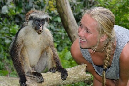 Jozani Forest & Spice Farm Tour Adventure W/ Transfer - Zanzibar