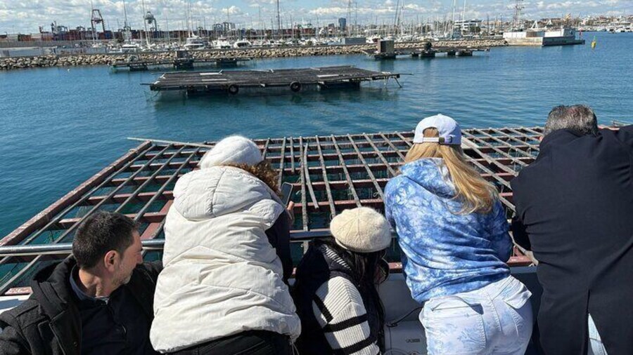 Visit The Nurseries of Clóchina Valenciana With Tasting