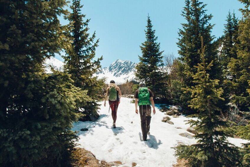 Hike Emerald Lake In Rocky Mountain National Park