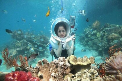 Nha Trang Bay Sea Walking Adventure with Local Seafood Lunch
