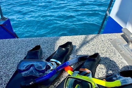 Waikiki Snorkel & Ocean Waterpark Experience