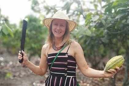 Private Tour of Cocoa Farm with Free Cooking Class