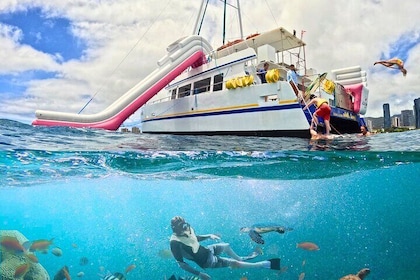 Waikiki Snorkeling & Ocean Waterpark Aventura desde Oahu