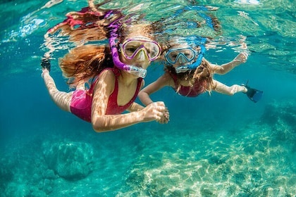 2 Hour Waikiki Snorkelling Experience