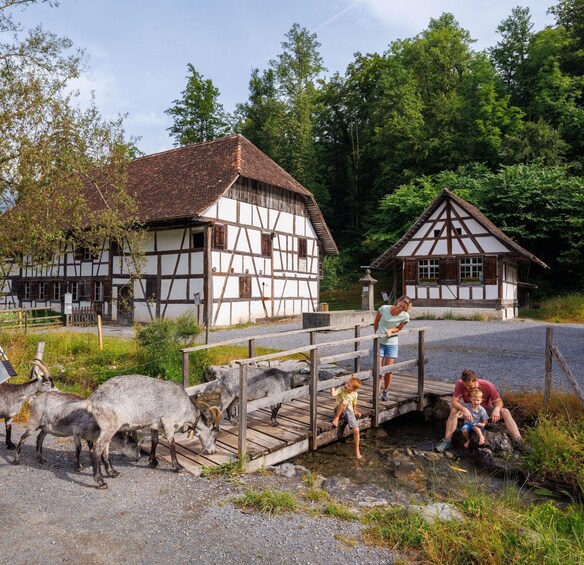 Picture 1 for Activity Interlaken: Admission ticket for the Ballenberg Open-Air Museum