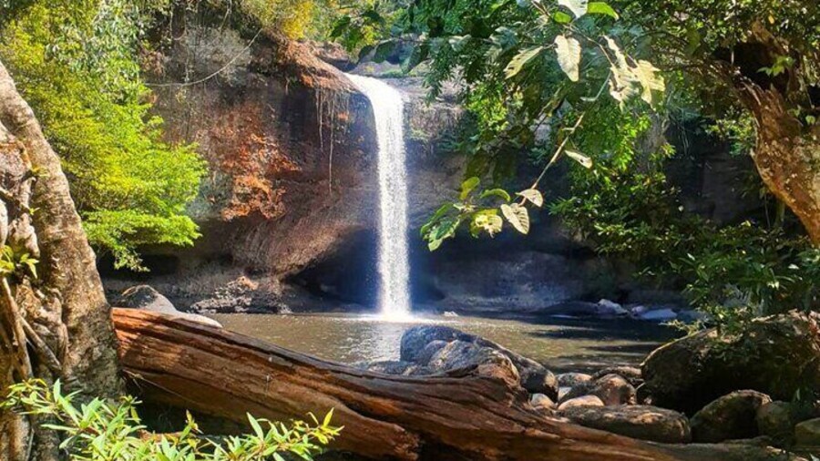 Khao Yai Waterfalls and Wilderness Private Chartered Tour