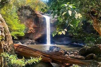Khao Yai Waterfalls and Wilderness Private Chartered Tour