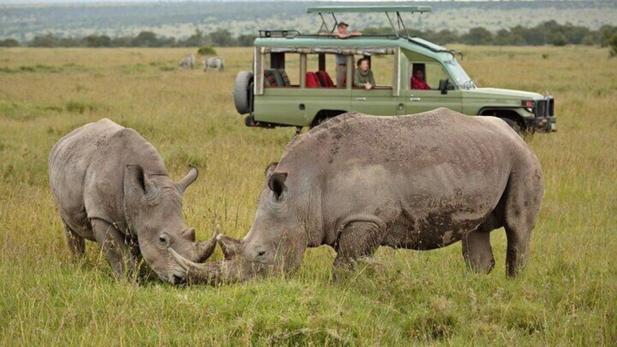 Ol Pejeta Conservancy, Kenya.