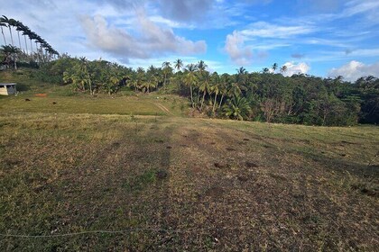 Discover Barbados Private Tour