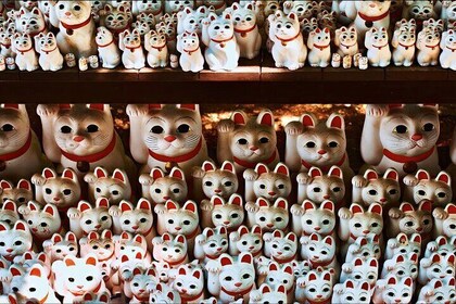 Tokyo: We Love Shibuya, Hachiko and the Lucky Cat Temple