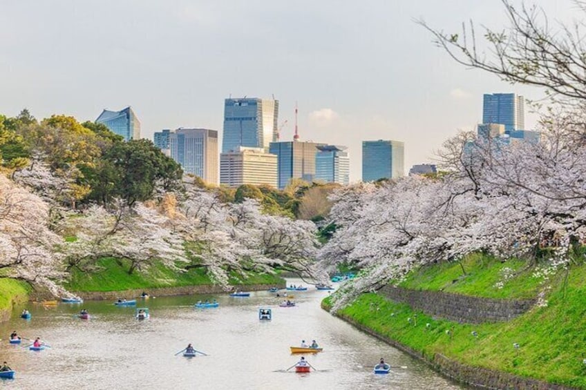  Cultural Day Trip Experience in Tokyo