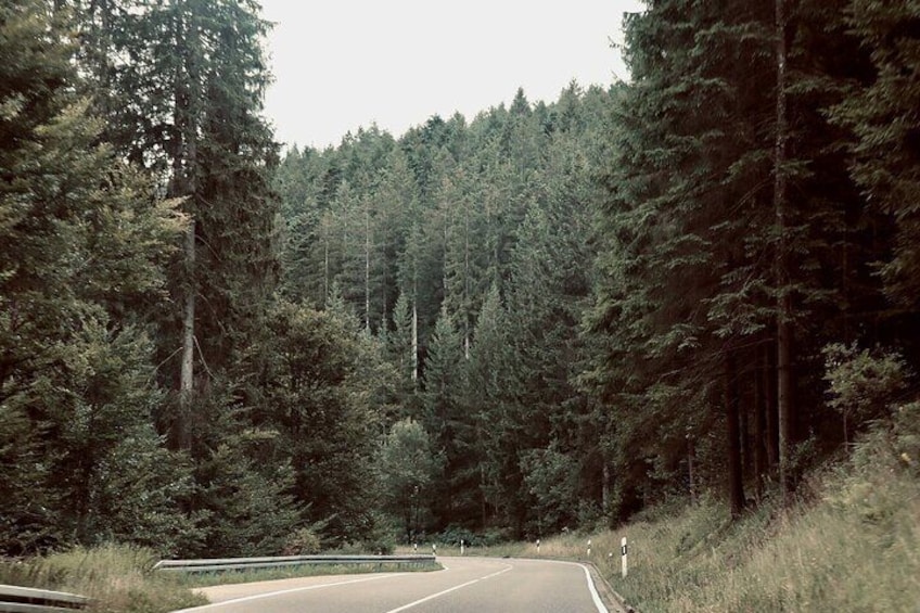 Black Forest road