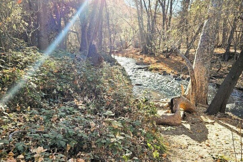 Sedona Sightseeing Tour