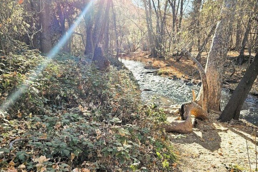 Sedona Sightseeing Tour