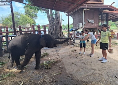 In Ayutthaya: Tour Guide Service with Authentic Local tour