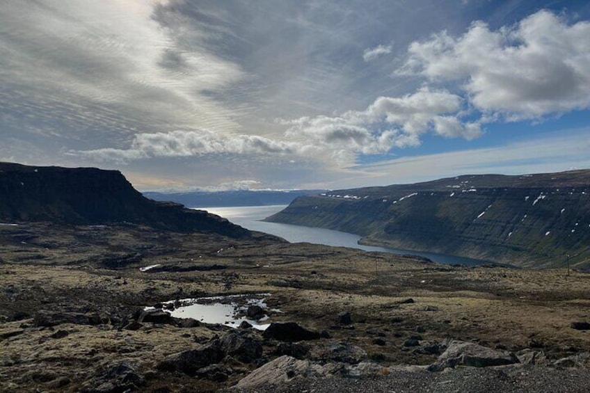 Isafjordur and Westfjords Private Tour