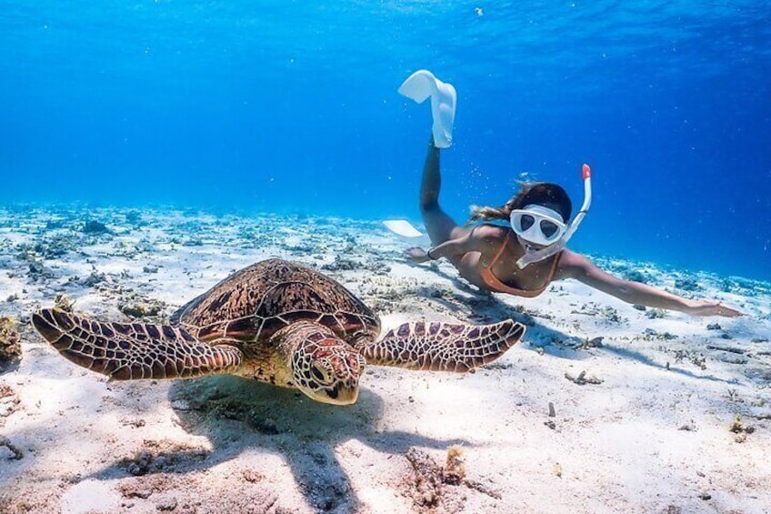 Okinawa Private Snorkeling Tour Experience