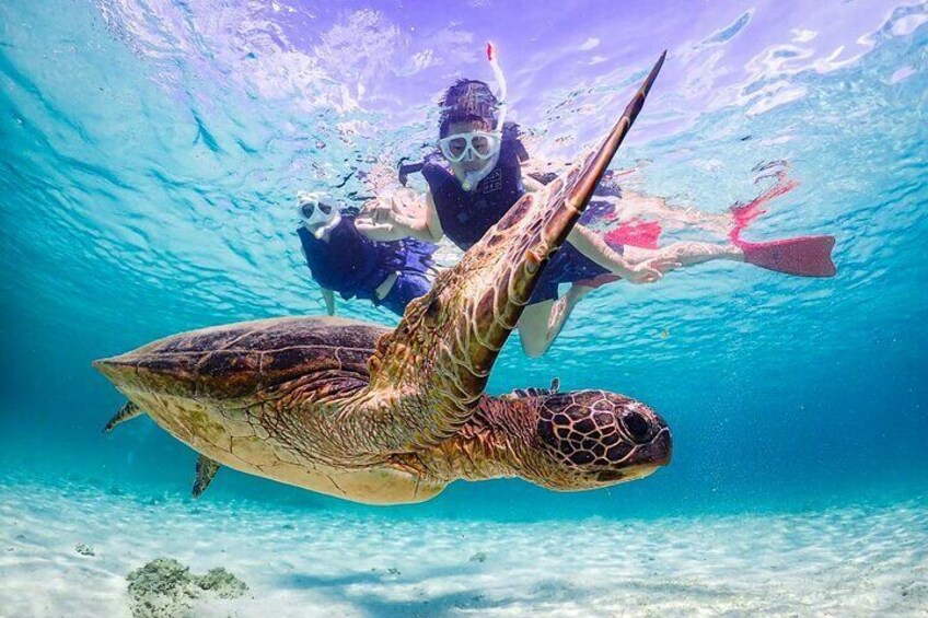Okinawa Private Snorkeling Tour Experience