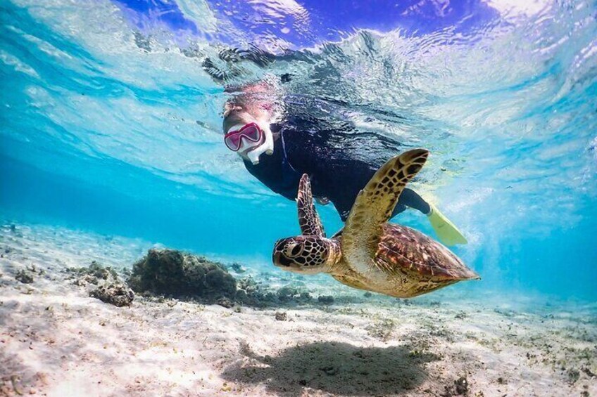 Okinawa Private Snorkeling Tour Experience