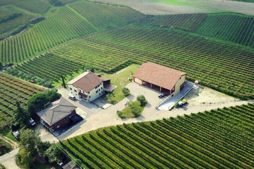 Shared Wine and Food Tasting Tour