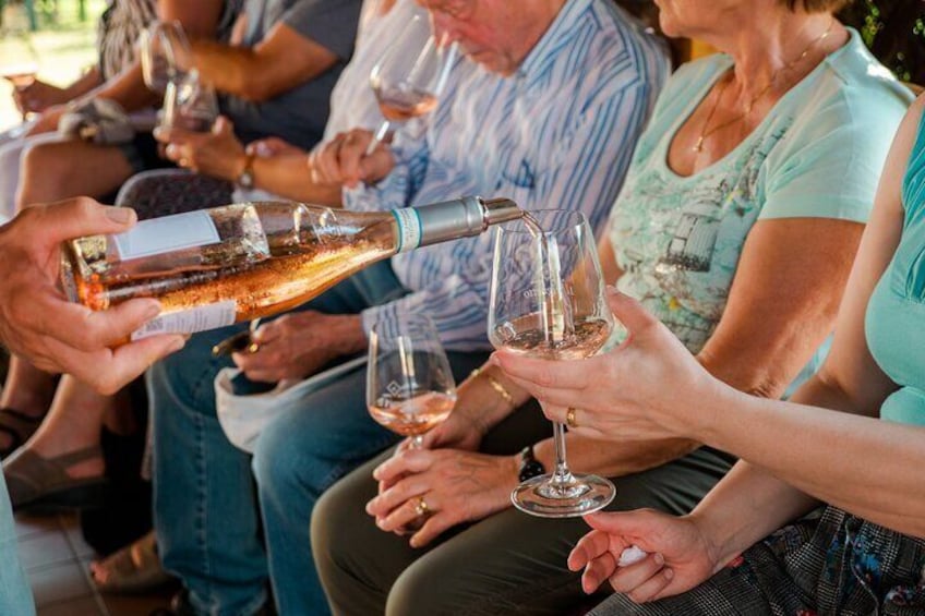 Shared Wine and Food Tasting Tour