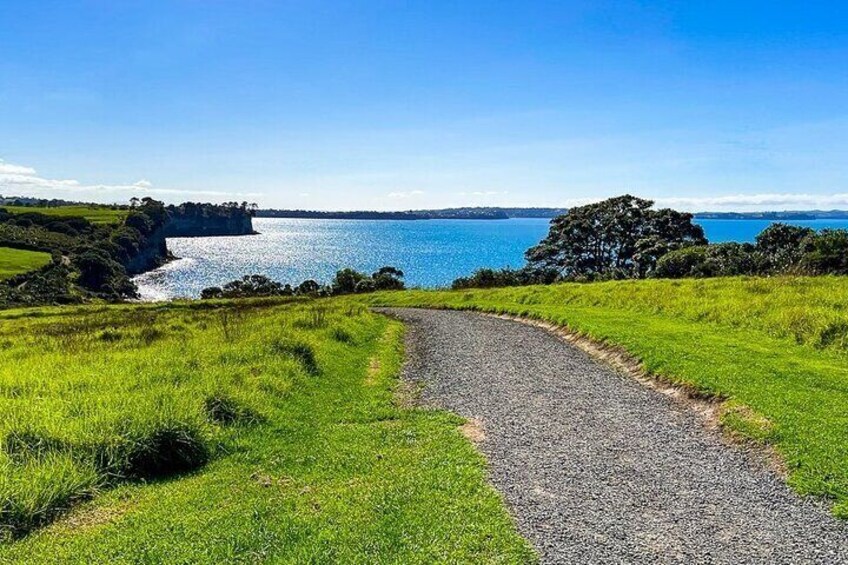 Auckland Hidden gem Tour