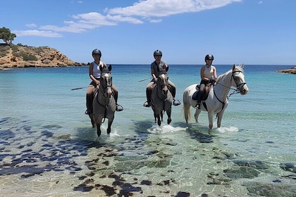 Ibiza Private Horseback Riding Tour on the Beach with Cava