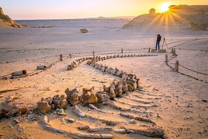 3 Days Trip to Wadi El Hitan and Fayoum Oasis from Cairo