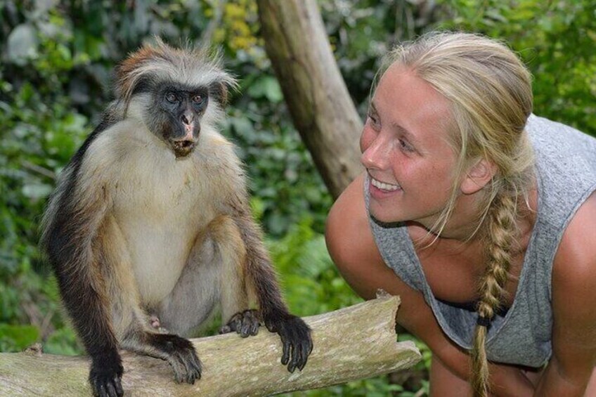 Josani Forest & Stone Town Discovery Tour with Transfer -Zanzibar