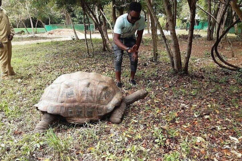 Josani Forest & Stone Town Discovery Tour with Transfer -Zanzibar