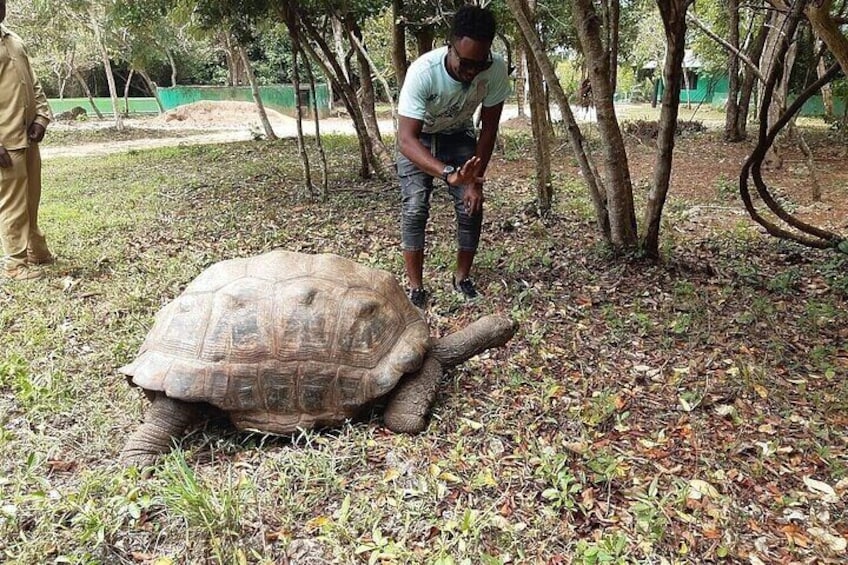 Josani Forest & Stone Town Discovery Tour with Transfer -Zanzibar