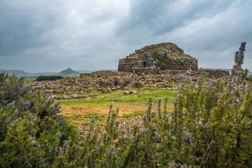 Private Discovery of the Largest Archaeological Site in Sardinia