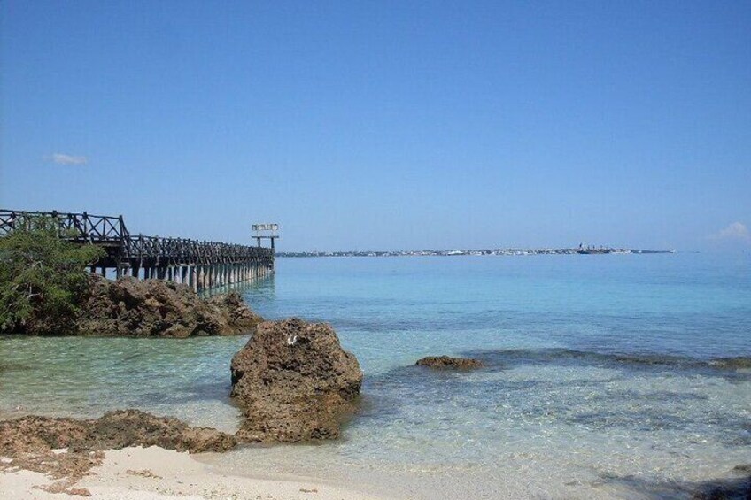 Prison Island Spice Market trip with Transfer in Zanzibar