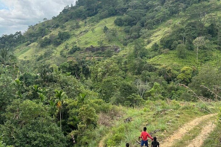 Knuckles Spice Trail Trek from Kandy