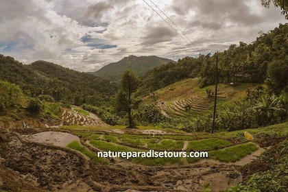 Knuckles Spice Trail Trek from Kandy