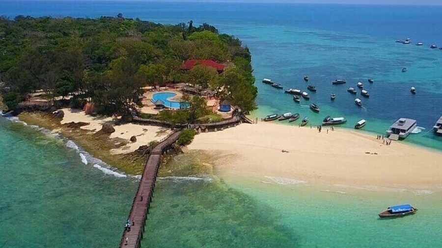 Prison Island & Spice Farm Tour with Transfer and Lunch - Zanzibar