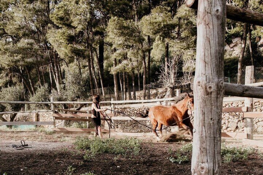 Horseback Riding in the Palmeraie Grove with Transfer - Marrakech