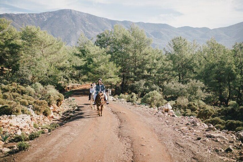 Horseback Riding in the Palmeraie Grove with Transfer - Marrakech