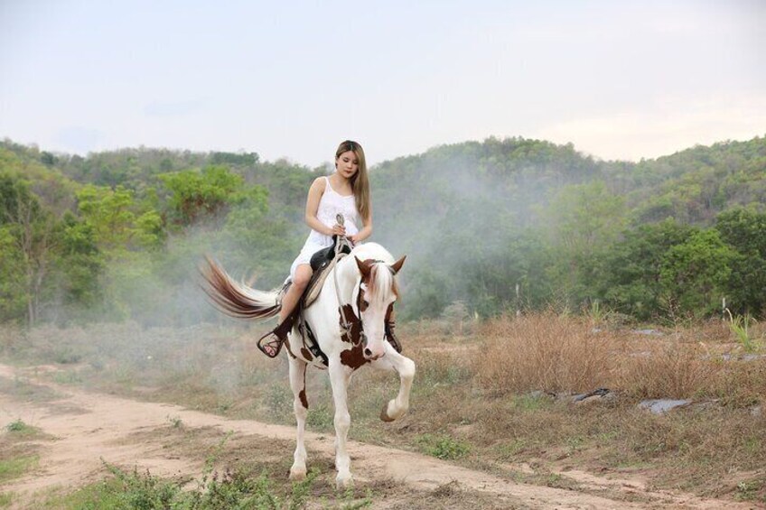 Horseback Riding in the Palmeraie Grove with Transfer - Marrakech