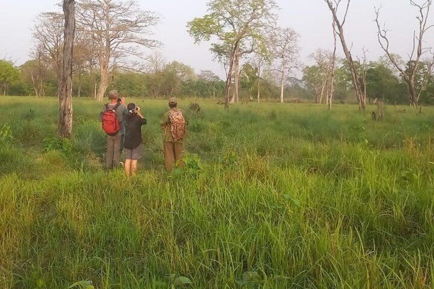 4Nights 5Days Bardia Jungle Safari II Bardia Tiger Tracking Tour