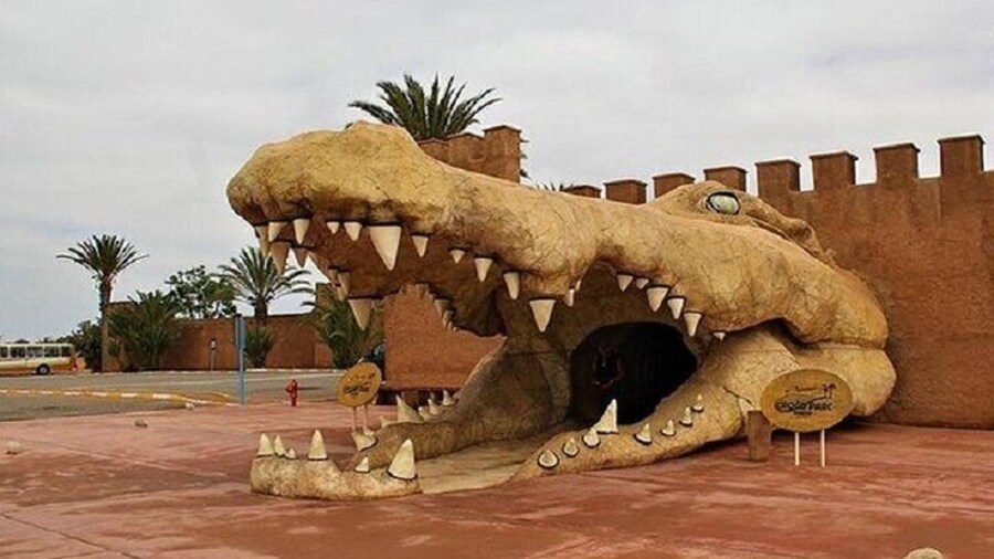 Croco Park Safari Adventure with Convenient Transfers – Agadir