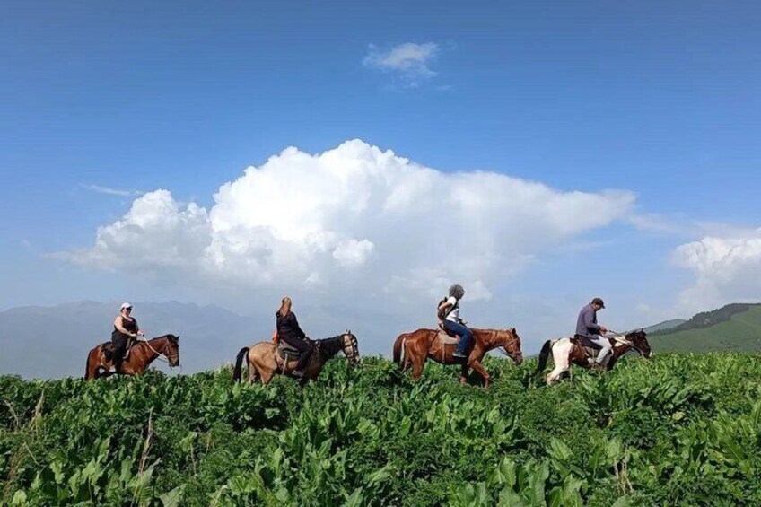 From Bishkek Horse Riding in Arashan Mountains
