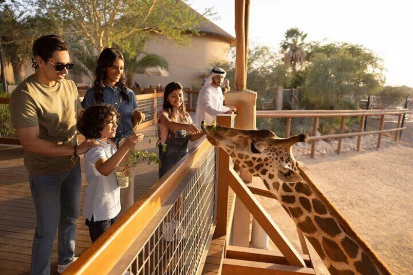 Emirates Park Zoo is a haven for animal lovers, offering a peaceful atmosphere and amazing opportunities to connect with wildlife.