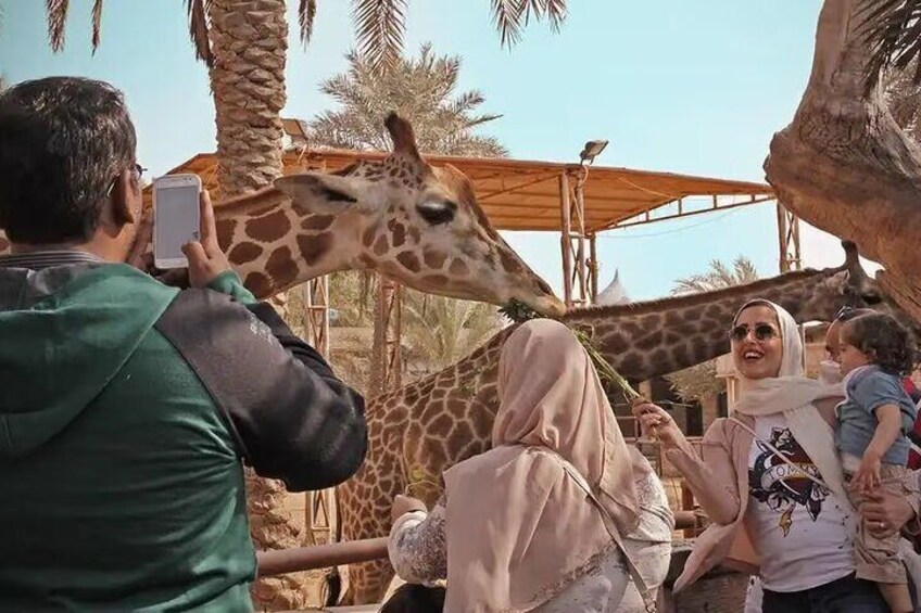 A perfect family destination, Emirates Park Zoo invites visitors to explore its captivating landscapes and get up close to exotic animals.