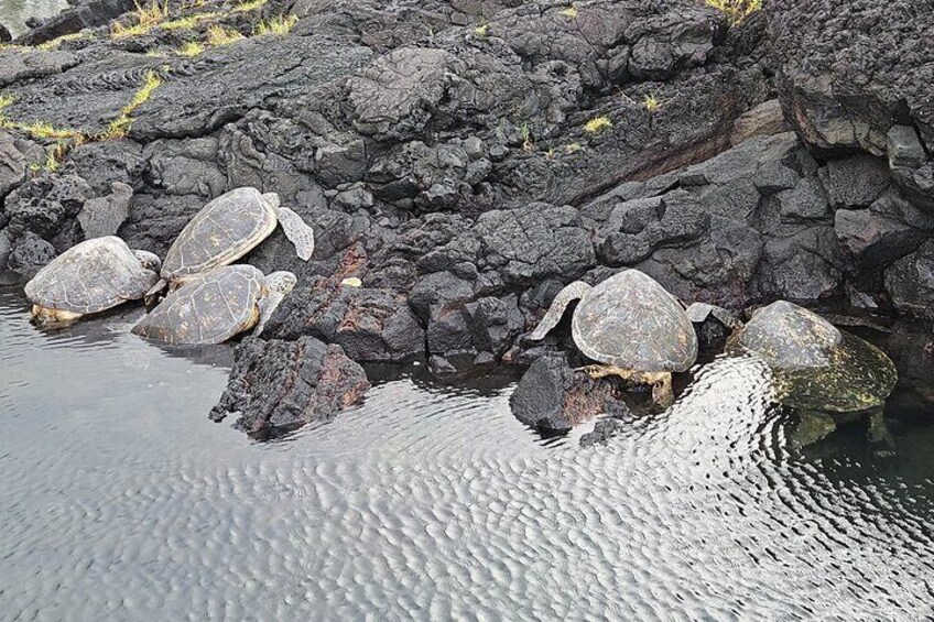 Honu's at Richardson Beach Hilo 