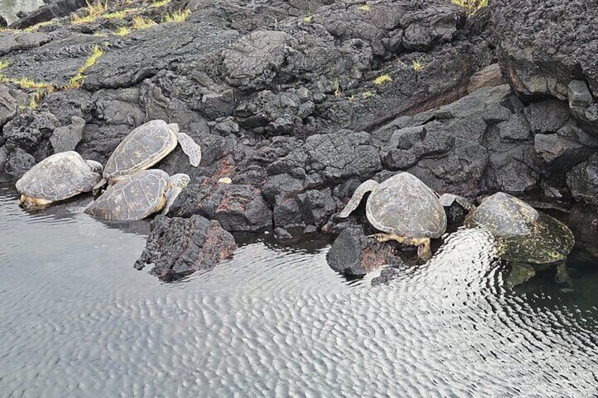 Honu's at Richardson Beach Hilo